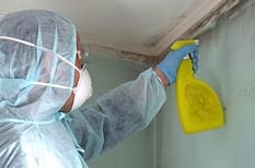 mold remediation