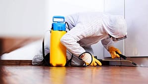 pest control service