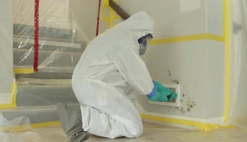 mold removal