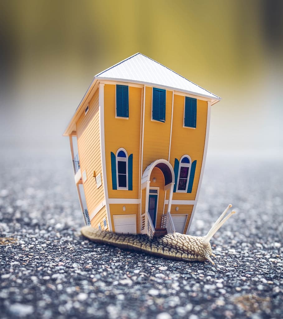 a house miniature on a slug